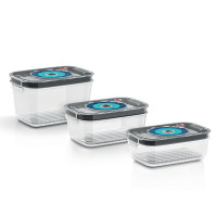 MSZV0FC3 Set 2 cutii pentru vidare (1,0L) - BOSCH MSZV0FC3 imagine 15178