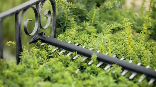 0600849K00 Foarfece de tăiat gard viu fara acumulator  UniversalHedgeCut 18V-50 în România